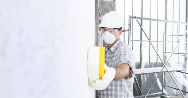 Best Asbestos and Lead Testing During Mold Inspection  in Franklin, NH