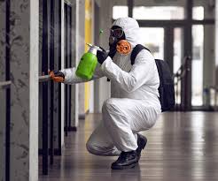 Best Commercial Mold Inspection  in Franklin, NH